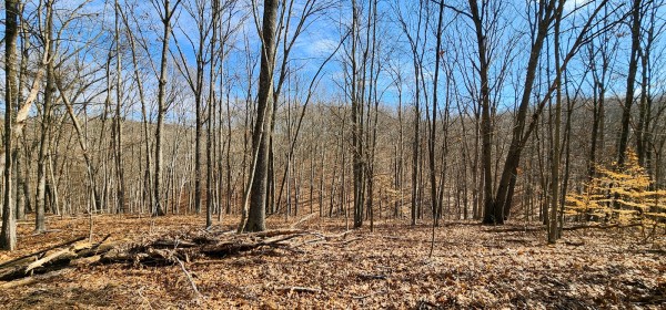 Big Timber Ridge - Phase II Tract 6 property photo