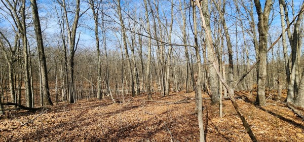 Big Timber Ridge - Phase II Tract 6 property photo