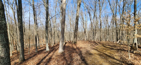 More of Big Timber Ridge - Phase II Tract 6