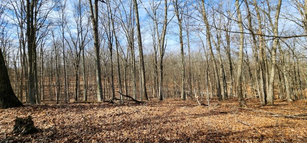 Big Timber Ridge - Phase II Tract 6 property photo