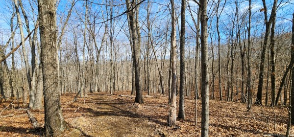 Big Timber Ridge - Phase II Tract 6 property photo