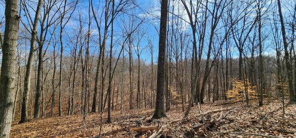 Big Timber Ridge - Phase II Tract 6 property photo
