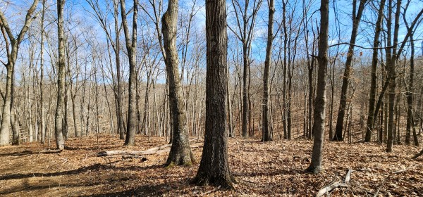 Big Timber Ridge - Phase II Tract 6 property photo