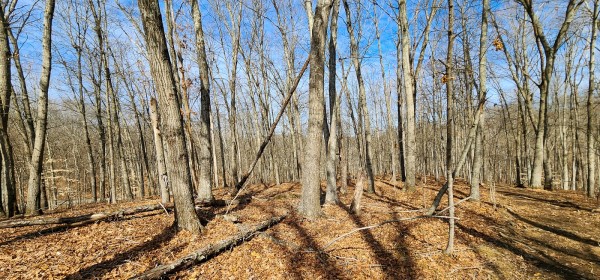 Big Timber Ridge - Phase II Tract 6 property photo