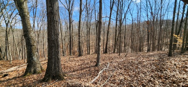 Big Timber Ridge - Phase II Tract 6 property photo