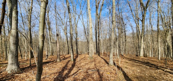 Big Timber Ridge - Phase II Tract 6 property photo