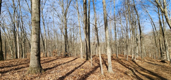 Big Timber Ridge - Phase II Tract 6 property photo