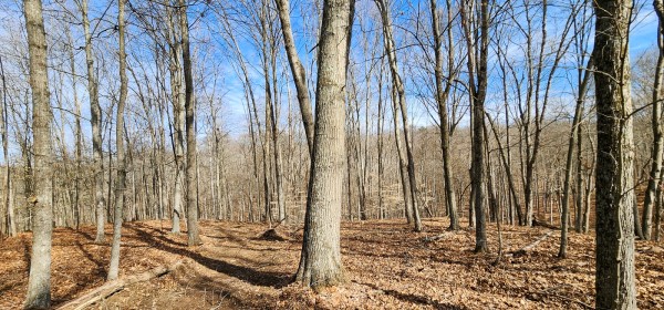 Big Timber Ridge - Phase II Tract 6 property photo