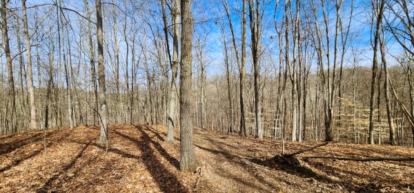 Big Timber Ridge - Phase II Tract 6 property photo