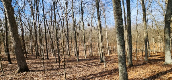 More of Big Timber Ridge - Phase II Tract 6