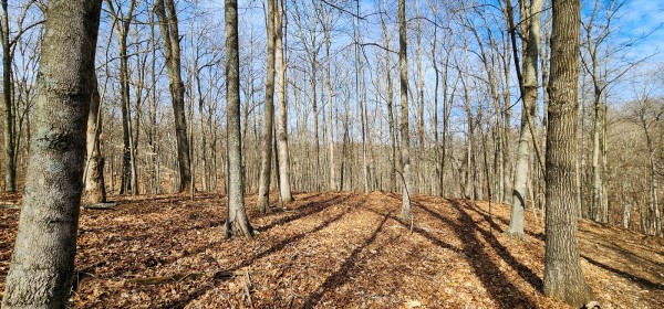 Big Timber Ridge - Phase II Tract 6 property photo