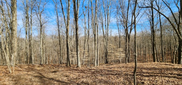 Big Timber Ridge - Phase II Tract 6 property photo