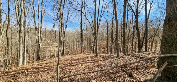 Big Timber Ridge - Phase II Tract 6 property photo