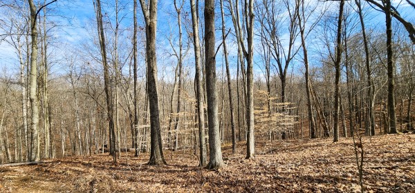 Big Timber Ridge - Phase II Tract 6 property photo