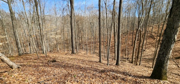 Big Timber Ridge - Phase II Tract 6 property photo