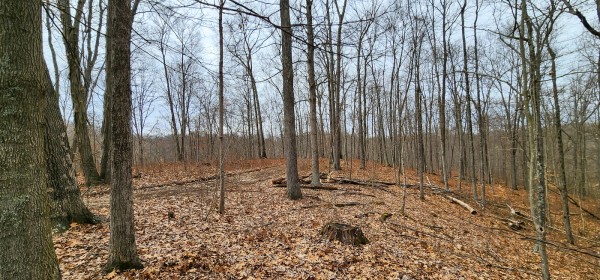 Big Timber Ridge - Phase II Tract 6 property photo