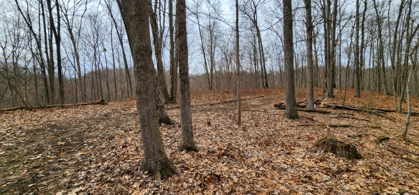 Big Timber Ridge - Phase II Tract 6 property photo