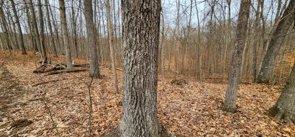 Big Timber Ridge - Phase II Tract 6 property photo