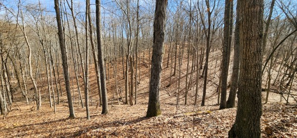More of Big Timber Ridge - Phase II Tract 6
