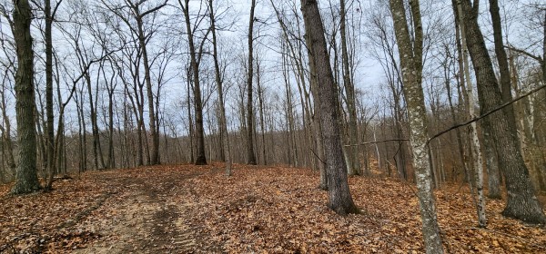Big Timber Ridge - Phase II Tract 6 property photo