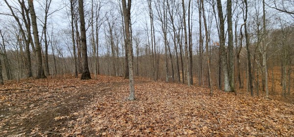 Big Timber Ridge - Phase II Tract 6 property photo