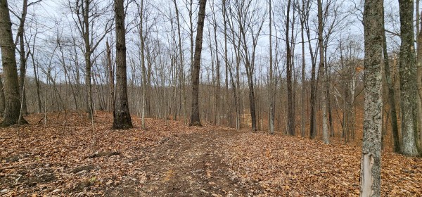 Big Timber Ridge - Phase II Tract 6 property photo