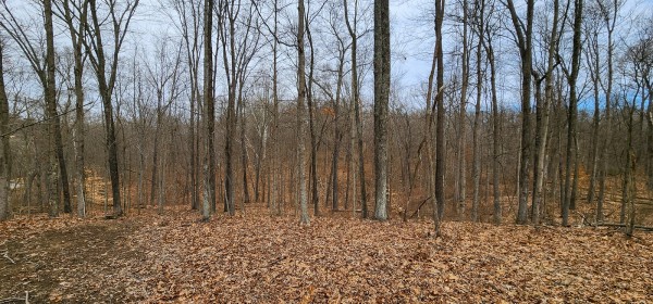 Big Timber Ridge - Phase II Tract 6 property photo