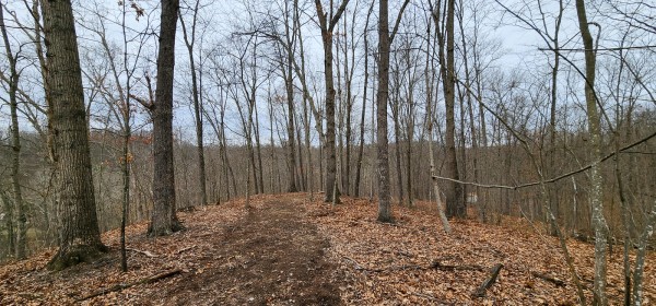 Big Timber Ridge - Phase II Tract 6 property photo