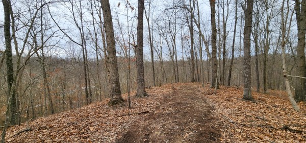 Big Timber Ridge - Phase II Tract 6 property photo