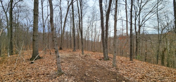 Big Timber Ridge - Phase II Tract 6 property photo