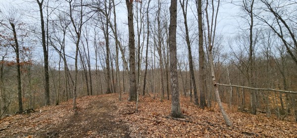 Big Timber Ridge - Phase II Tract 6 property photo