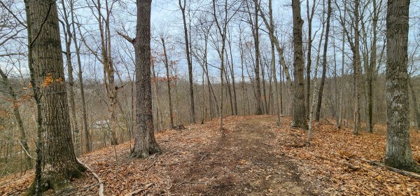 Big Timber Ridge - Phase II Tract 6 property photo