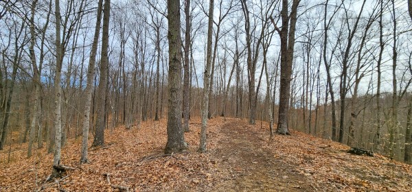 Big Timber Ridge - Phase II Tract 6 property photo