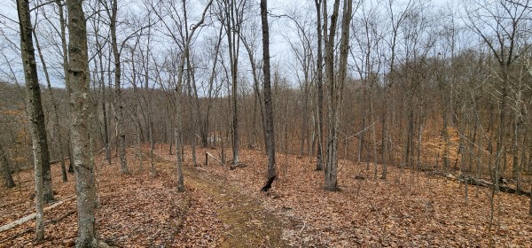 Big Timber Ridge - Phase II Tract 6 property photo
