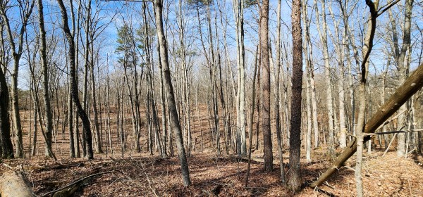Big Timber Ridge - Phase II Tract 6 property photo