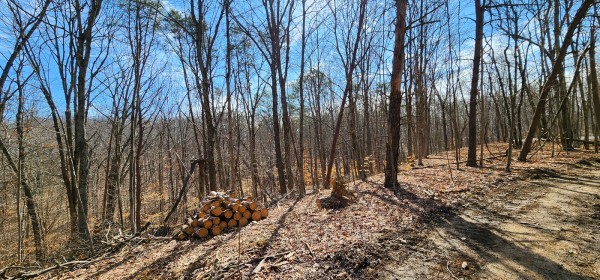 Big Timber Ridge - Phase II Tract 6 property photo