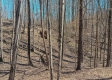 Tract 1 at Turkey Run property photo