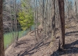 Tract 1 at Turkey Run property photo