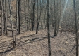 Tract 1 at Turkey Run property photo