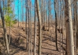 Tract 1 at Turkey Run property photo