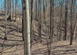 Tract 1 at Turkey Run property photo