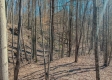Tract 1 at Turkey Run property photo