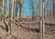Tract 1 at Turkey Run property photo