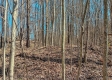 Tract 1 at Turkey Run property photo