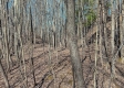 Tract 1 at Turkey Run property photo