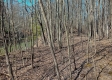 Tract 1 at Turkey Run property photo