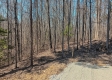 More of Tract 1 at Turkey Run