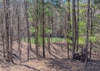 More of Tract 1 at Turkey Run
