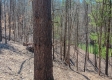 Tract 1 at Turkey Run property photo