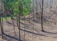 Tract 1 at Turkey Run property photo